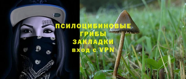 дурь Инсар