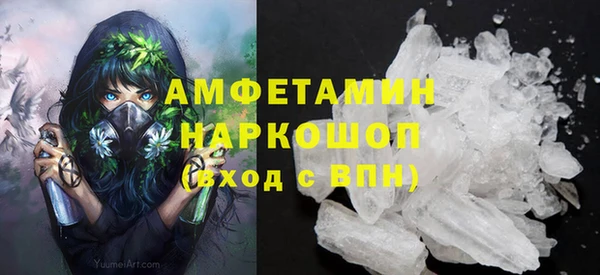 дурь Инсар