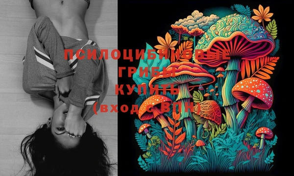 дурь Инсар