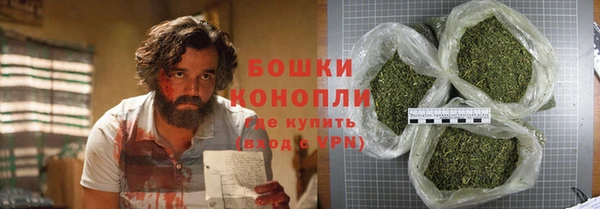 дурь Инсар
